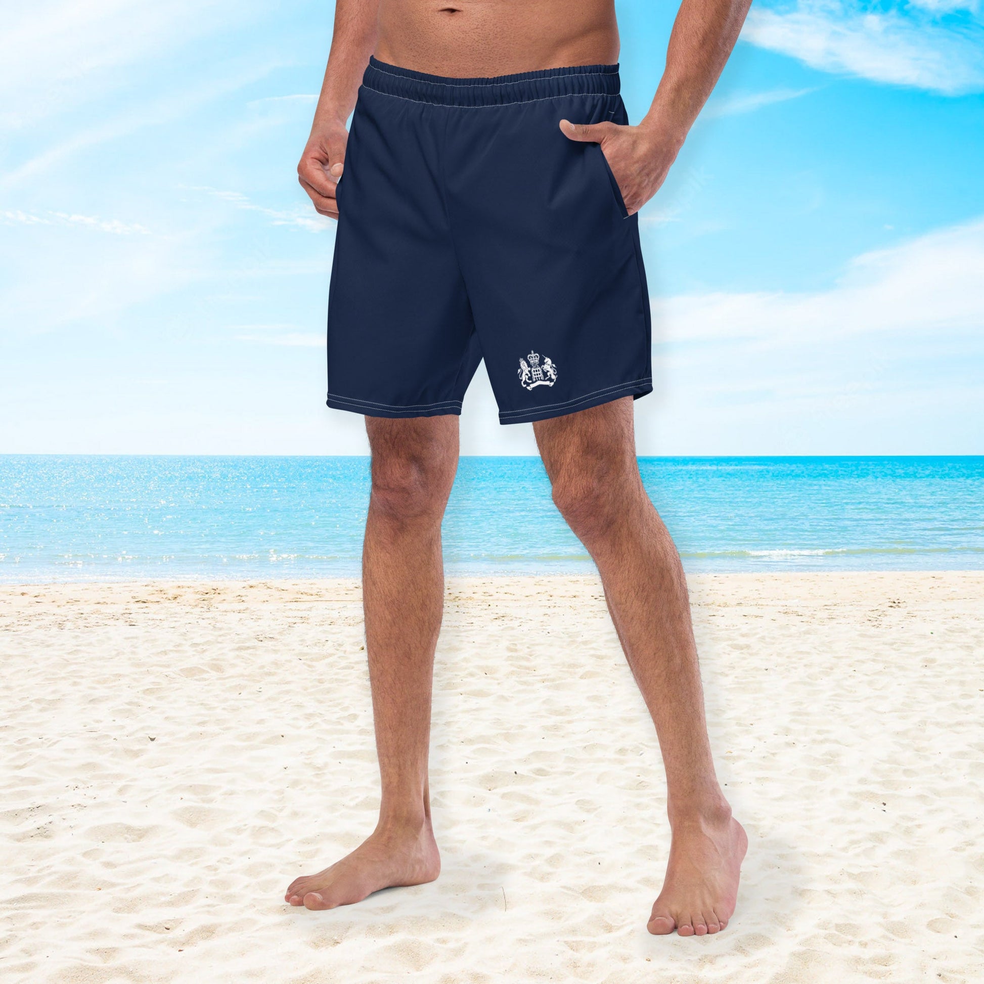 Men's Swim Trunks SIS Training Gear 